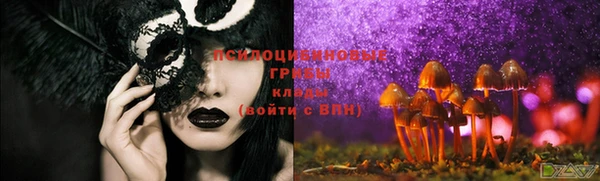 тгк Новокубанск