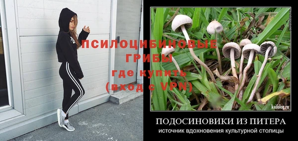 a pvp Новодвинск