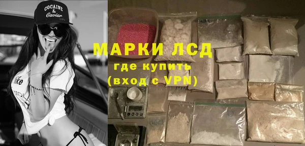 a pvp Новодвинск