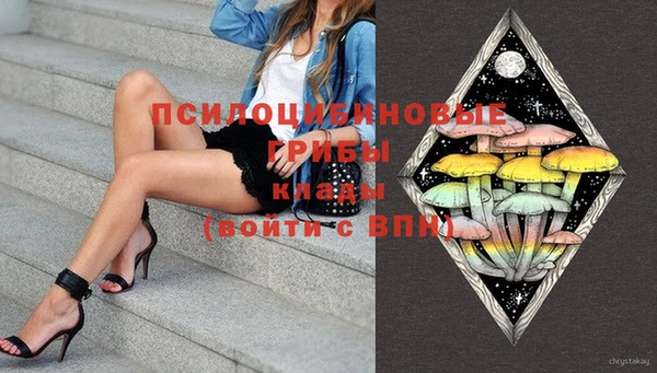 амф Абинск