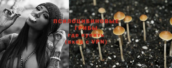 амф Абинск
