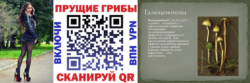 ОМГ ОМГ ссылка  Тихорецк  Галлюциногенные грибы GOLDEN TEACHER 