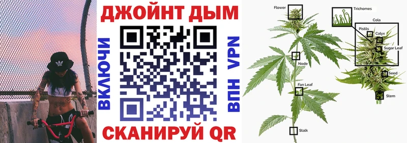 Шишки марихуана гибрид мега зеркало Тихорецк
